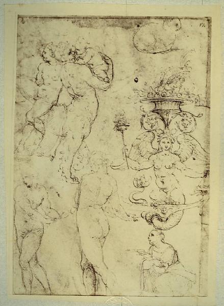 Cesare da Sesto - Studio per una santa Lucia e per figure ed elementi decorativi - Schizzo - Disegno