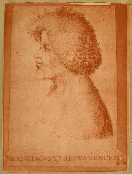 Torbido, Francesco detto Moro? - Ritratto maschile di profilo (Ritratto d'uomo) - Disegno - Oxford - Christ Church Library
