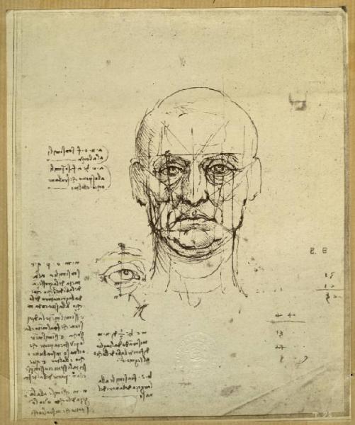 Leonardo da Vinci - Studio delle proporzioni del volto - Disegno - Torino - Boblioteca Reale