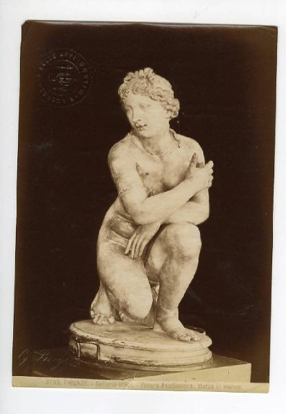 Copia romana I sec. d C. - Venere accovaciata - Scultura in marmo - Firenze - Galleria Uffizi