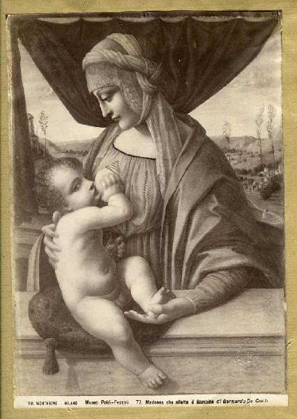 Scuola lombarda inizio sec. XVI - Madonna con Bambino (Madonna del latte) - Dipinto - Tempera su tavola - Milano - Museo Poldi Pezzoli