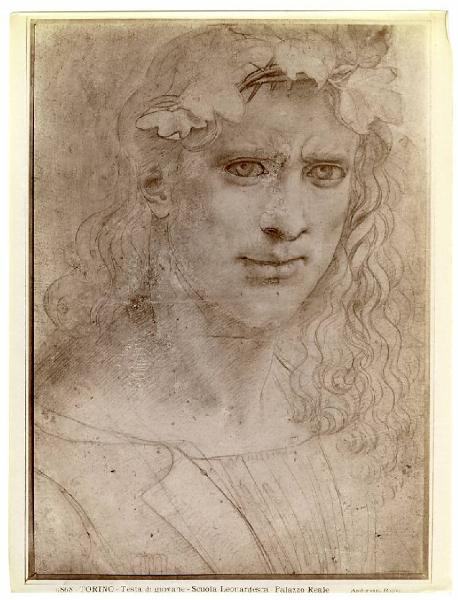 Boltraffio, Giovanni Antonio - Studio di busto di giovane incoronato di spine e foglie di vite - Disegno - Torino - Boblioteca Reale
