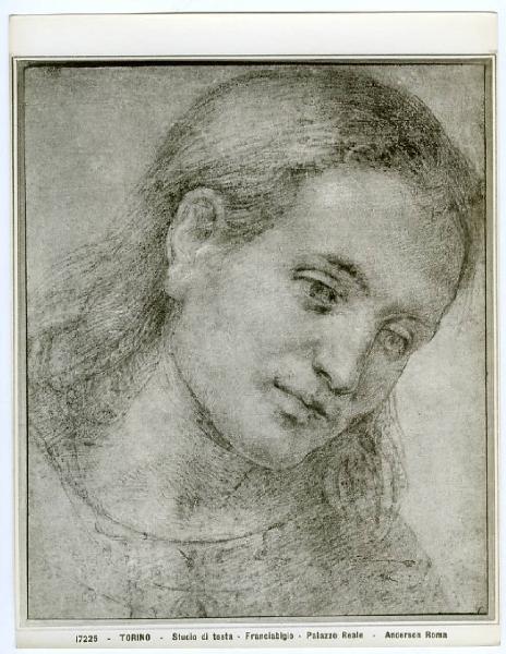 Francesco di Cristofano detto Franciabigio - Testa femminile rivolta verso destra - Ritratto femminile - Disegno - Torino - Boblioteca Reale