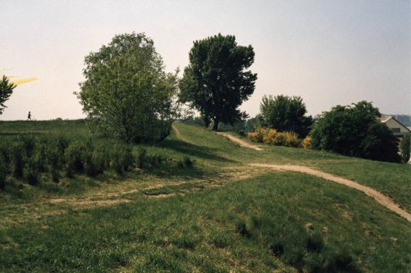 Sesto San Giovanni - Parco Nord, settore Montagnetta - La Montagnetta - Sentiero, alberi, arbusti in fiore - Capannone Breda