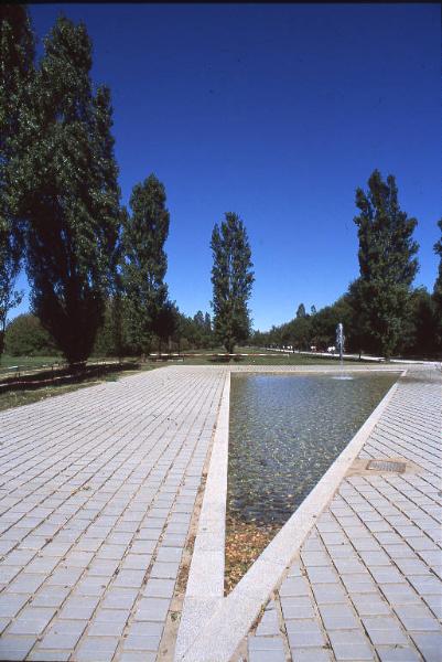 Cinisello Balsamo - Parco Nord, settore Est - Fontana Triangolare - Alberi (pioppo cipressino)