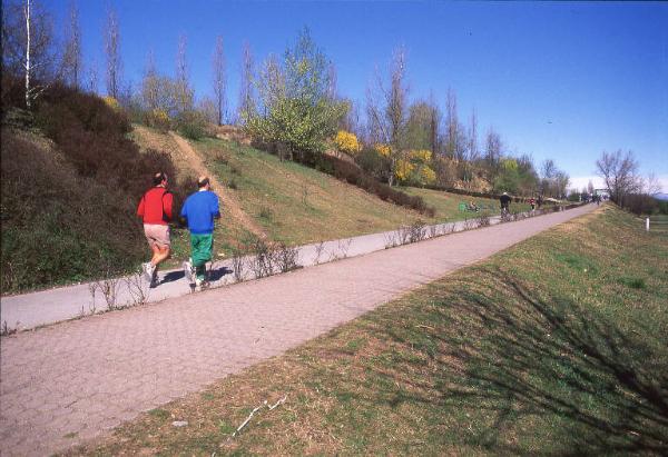 Sesto San Giovanni - Parco Nord, settore Montagnetta - Percorso ciclopedonale che dal Teatrino conduce alla Passerella ciclopedonale Clerici - Persone che corrono e a passeggio - Cespugli in fiore - La Montagnetta