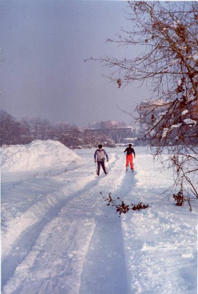 Cinisello Balsamo - Parco Nord, settore Est - Persone con gli sci sulla neve - Inverno - Sullo sfondo a destra l'Ospedale Bassini