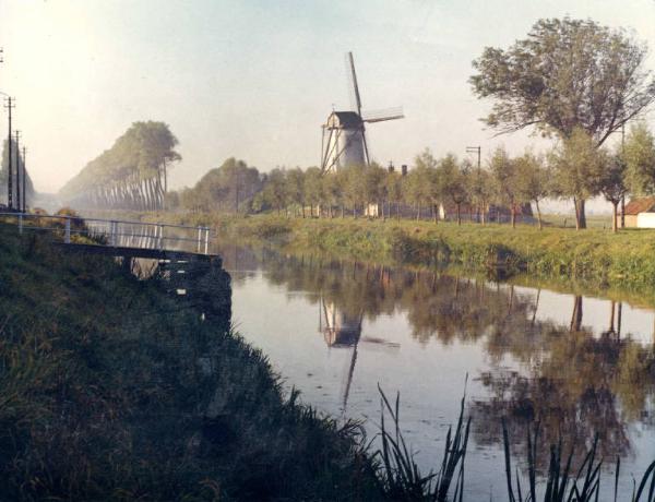 Scena del film "I tulipani di Haarlem" - Regia Franco Brusati - 1970 - Filare d'alberi e mulino lungo il fiume, paesaggio