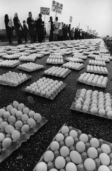 Scena del film "Bianco, rosso e..." - Regia Alberto Lattuada - 1972 - Una folla protesta davanti a gruppi di uova poste nei loro contenitori