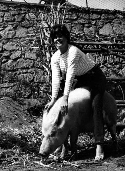 Scena del film "Bianco, rosso, giallo, rosa" - Massimo Mida - 1964 - L'attrice Anita Ekberg in groppa a un maiale