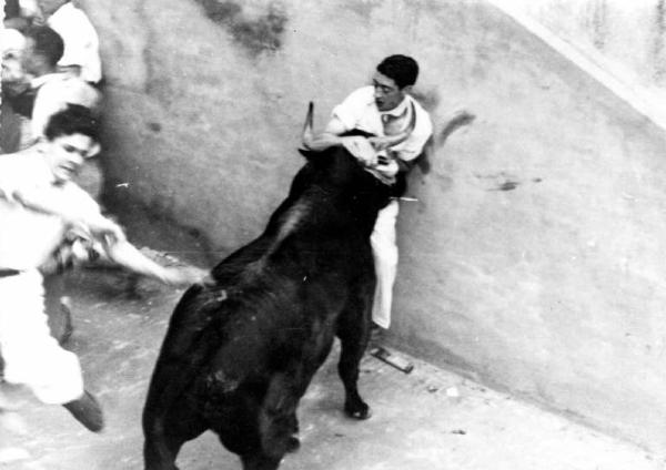 Set del film documentario "Carosello spgnolo" - Regia Gian Andrea Rocco, Salvatore Rosso, Pino Serpi - 1959 - Un torero attaccato da un toro durante una corrida nell'arena