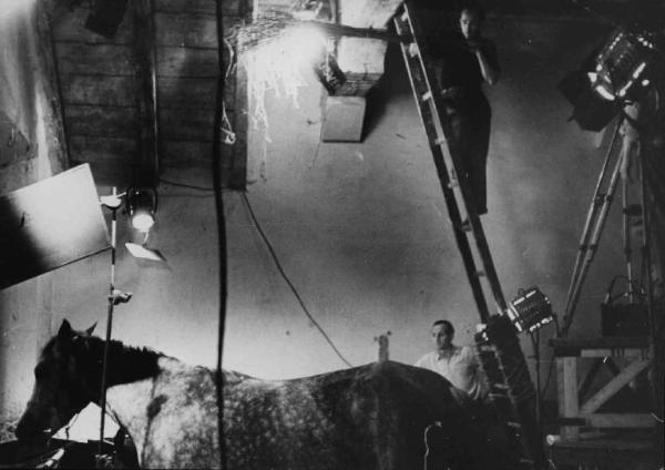 Set del film "La Cavallina Storna" - Regia Giulio Morelli - 1953 - Un cavallo sul set e lo staff tecnico sistema la scenografia .
