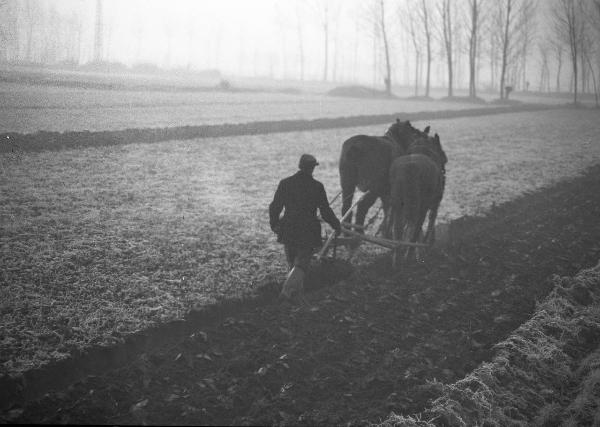 Pavia - campagna - lavoro agricolo - aratro