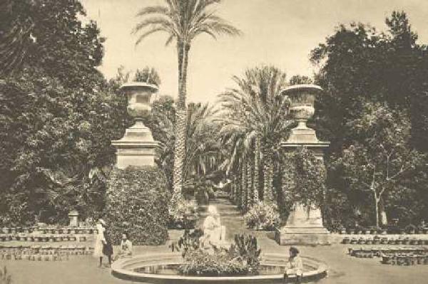 Palermo - Orto Botanico - Viale delle Palme