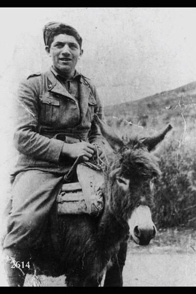 Seconda guerra mondiale. Campagna di Grecia. Giovanni Zuccala soldato a dorso di mulo.