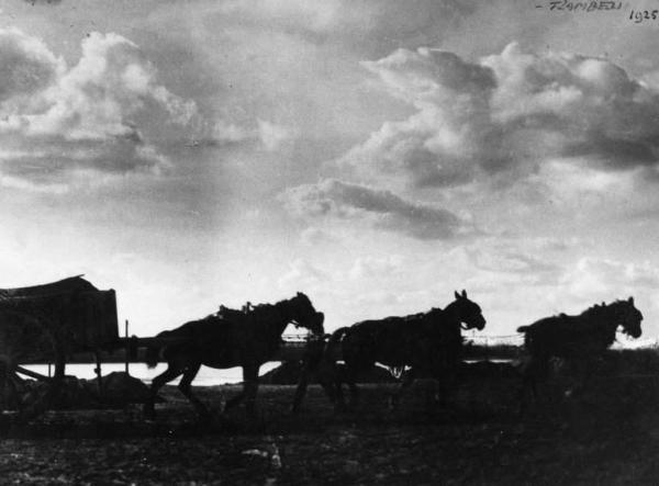 Cremona. Remaioli sul fiume Po, tre cavalli tirano un carro carico di sabbia.