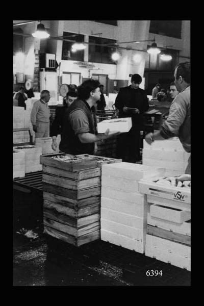 Milano. Via Sammartini 71. Mercato Ittico. Preparazione del mercato. Disposizione delle cassette contenenti il pesce.