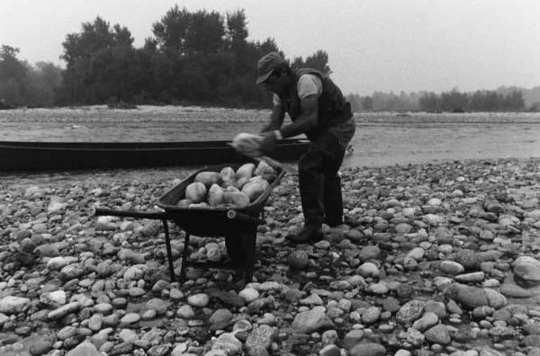 Sergio Cordani. Raccolta di sassi nell'alveo del fiume Ticino.