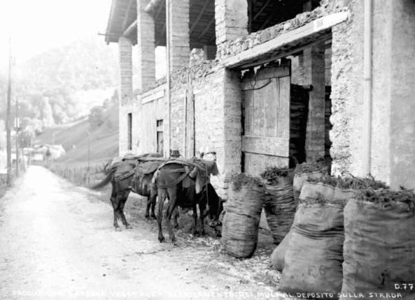 Vestone - Deposito del carbone da legna - Muli e sacchi