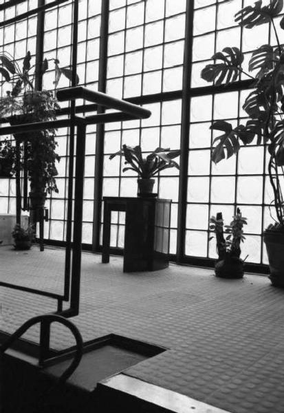 Parigi. Architetture di Pierre Chareau: La casa di vetro. - Interni. Soggiorno con piante ornamentali.