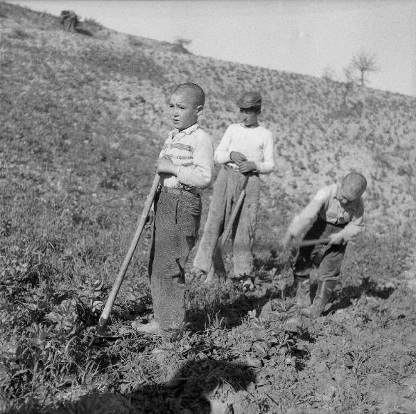 Melissa (Crotone) - Bambini al lavoro in un campo