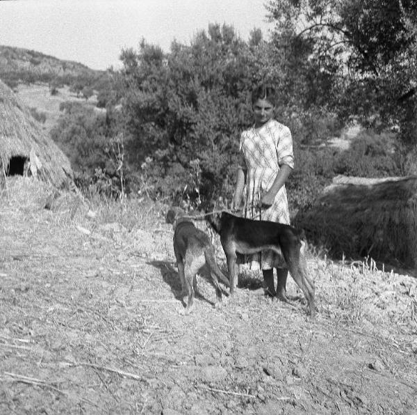 Melissa (Crotone) - Giovane contadina con cani in un campo - Ritratto