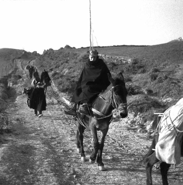 Melissa (Crotone) - Contadini su muli e asini in una strada di campagna
