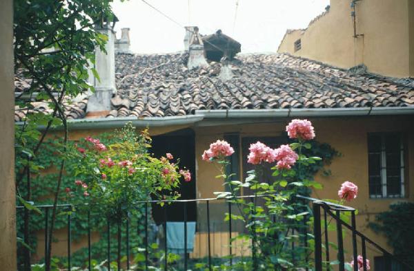 Milano Via Fiori Chiari - Casa di ringhiera - cortile interno, balconi coperti di rampicanti e vista sui tetti