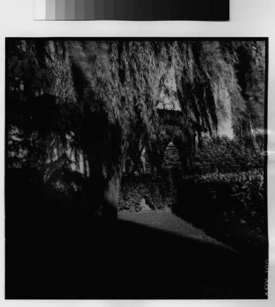 Inveruno - via cavour - giardino interno - alberi - cappella di San Rocco