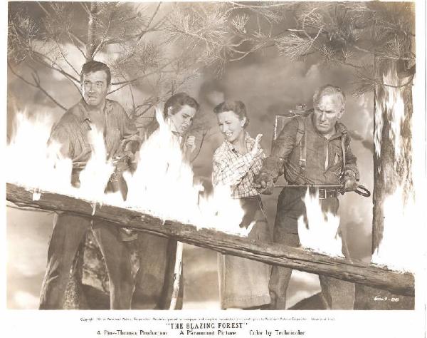 Scena del film "L'urlo della Foresta" - regia Edward Ludwig - 1952 - attore John Payne