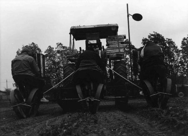 Campo arato - trattore con trapiantatrice di pomodori