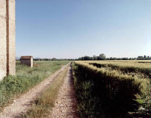Campo di grano - strada sterrata - costruzione in mattoni