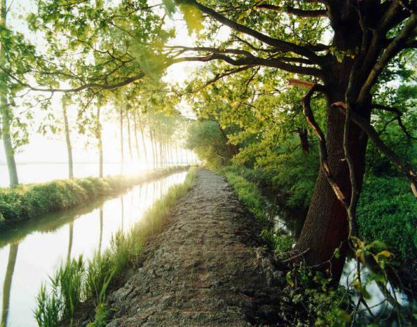 Sentiero fra i canali - vegetazione