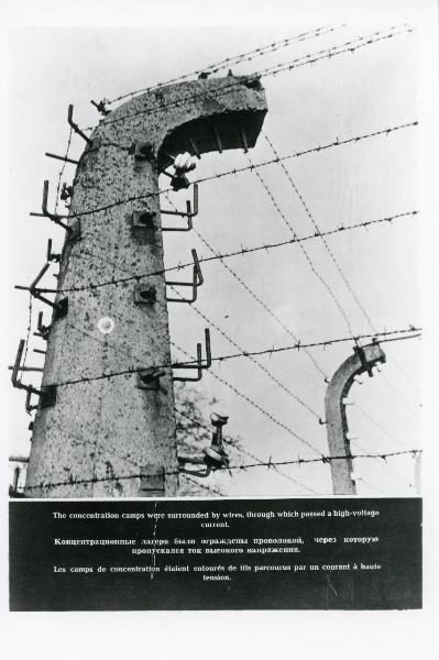 Nazismo - Polonia - Campo di concentramento / Campo di sterminio di Auschwitz-Birkenau - Recinzione - Pali e reticolato con filo spinato e corrente elettrica ad alta tensione