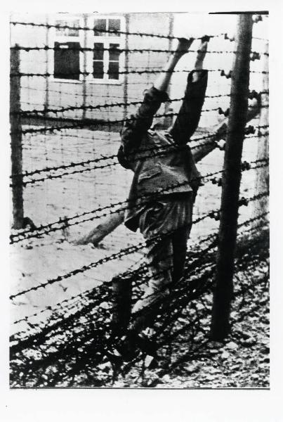 Seconda guerra mondiale - Nazismo - Austria - Campo di concentramento di Mauthausen-Gusen - Reticolato con filo spinato e corrente elettrica ad alta tensione - Prigioniero di guerra sovietico morto suicida