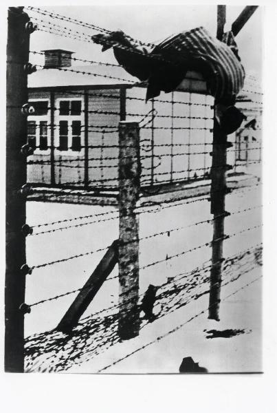 Seconda guerra mondiale - Nazismo - Austria - Campo di concentramento di Mauthausen-Gusen - Reticolato con filo spinato e corrente elettrica ad alta tensione - Prigioniero "zebrato" morto (suicidio?)