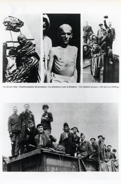 Seconda guerra mondiale - Nazismo - Campo di concentramento - Liberazione - Ritratto maschile: prigionieri sopravvissuti