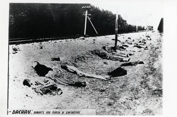 Seconda guerra mondiale - Nazismo - Germania, Dachau - Marcia di evacuazione (marcia della morte) da un campo di concentramento - Cadaveri lungo la ferrovia