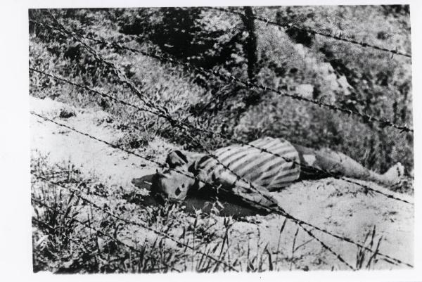 Seconda guerra mondiale - Nazismo - Austria (?) - Campo di concentramento di Mauthausen-Gusen (?) - Reticolato con filo spinato e corrente elettrica - Prigioniero morto - Divisa da campo "pigiama a strisce" - Suicidio (?)