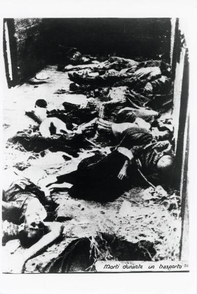 Seconda guerra mondiale - Nazismo - Germania, Dachau - Trasporto di deportati (evacuazione) - Treno della morte - Vagone aperto, interno - Cadaveri