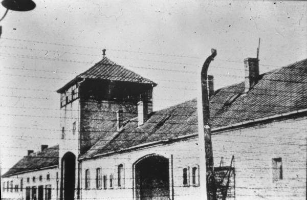 Nazismo - Polonia - Campo di concentramento / Campo di sterminio di Auschwitz-Birkenau - Ingresso - Edificio - Steccato con filo spinato