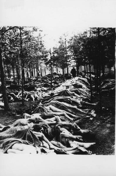 Seconda guerra mondiale - Nazismo - Germania - Bosco intorno al campo di concentramento di Bergen Belsen - Cumuli di cadaveri scheletriti nudi insepolti - Dopo la liberazione