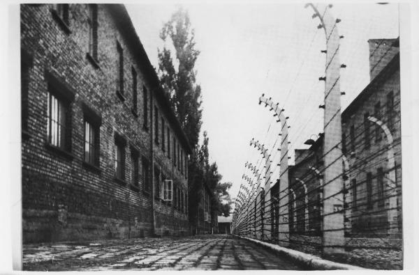Dopoguerra - Nazismo - Polonia - Campo di concentramento di Auschwitz, campo I - Edificio - Reticolato con filo spinato e corrente ad alta tensione