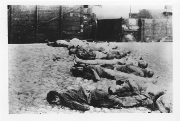 Seconda guerra mondiale - Nazismo - Trasporto di deportati - Vagoni di un treno - Cadaveri a terra