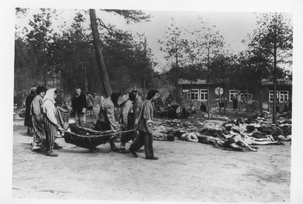 Germania - Campo di concentramento di Bergen Belsen - Nazismo - Dopo la liberazione - Bosco - Cumulo di cadaveri - Donne prigioniere liberate con pigiama a strisce ("zebrate") - Trasporto di cadaveri