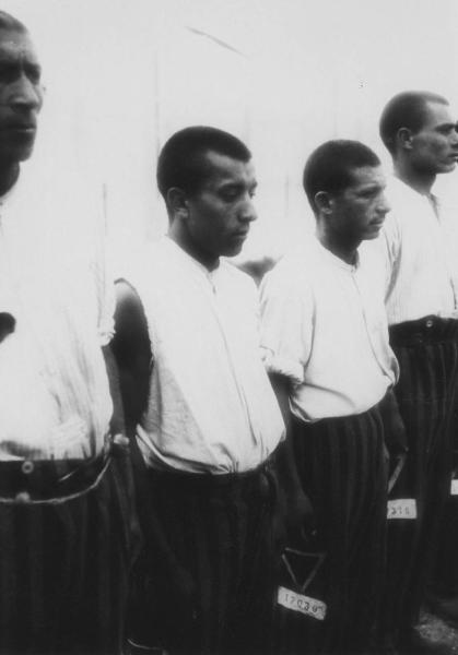 Seconda guerra mondiale - Nazismo - Germania - Campo di concentramento di Dachau - Appello - Ritratto maschile: prigionieri zingari in fila con numero di matricola e simbolo