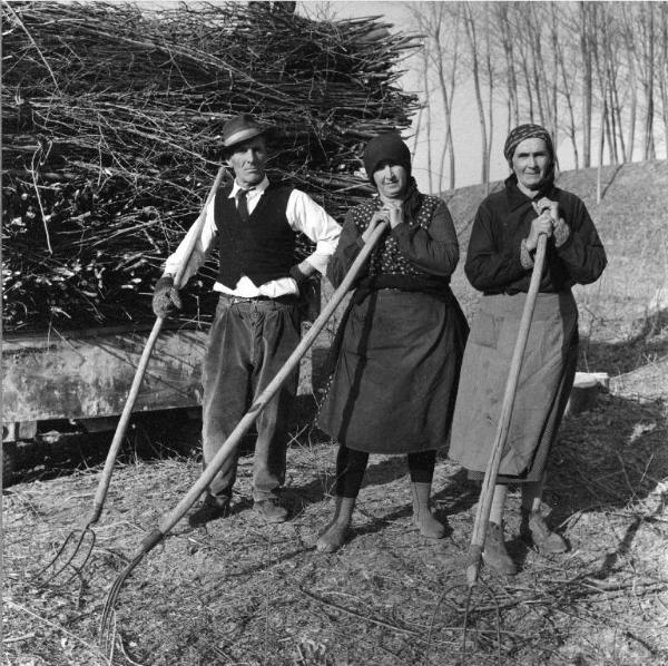 Gente del Po. San Benedetto Po, nei dintorni di - Ritratto di gruppo - Taglialegna (un uomo con due donne) con forconi - Fascine di legna