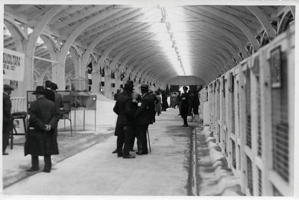 Fiera di Milano - Campionaria 1933 - Mostre della zootecnica - Esposizione avicola
