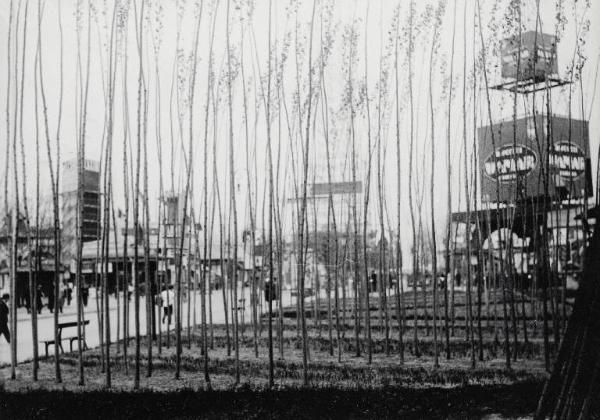 Fiera di Milano - Campionaria 1933 - Mostra del pioppo - Coltivazione dimostrativa