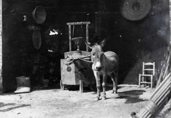 Fiera di Milano - Campionaria 1929 - Padiglione dell'agricoltura - Mostra dell'economia montana - Stand